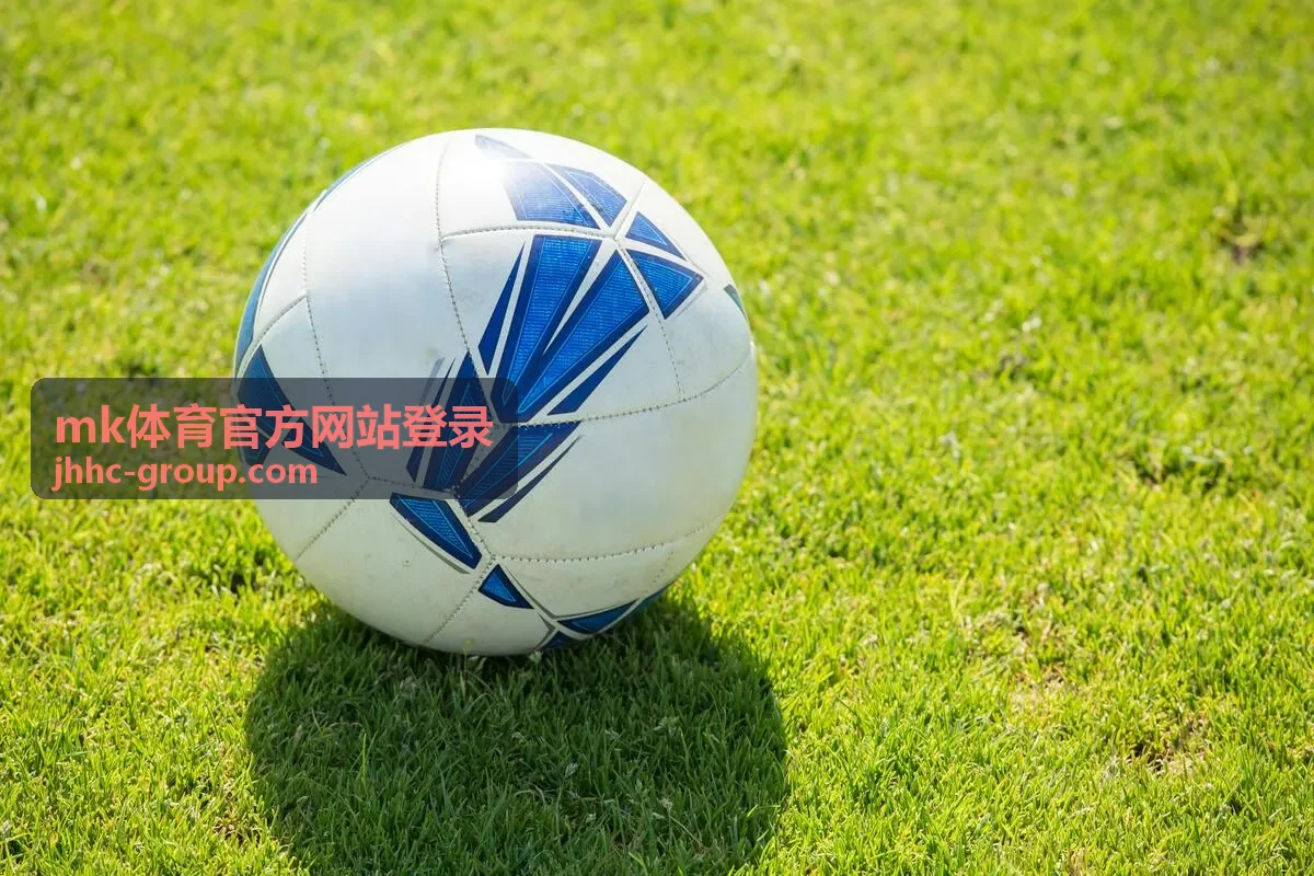 mk体育官方网站登录 数据面板界面