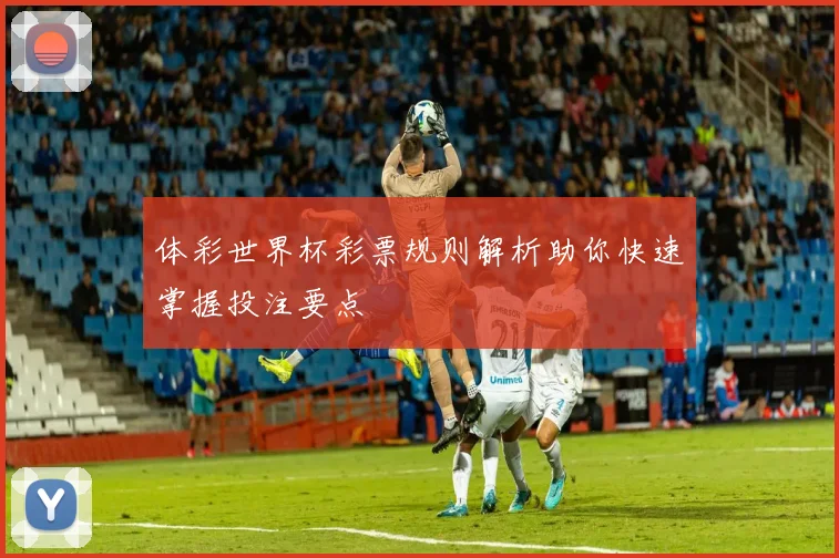 体彩世界杯彩票规则解析助你快速掌握投注要点